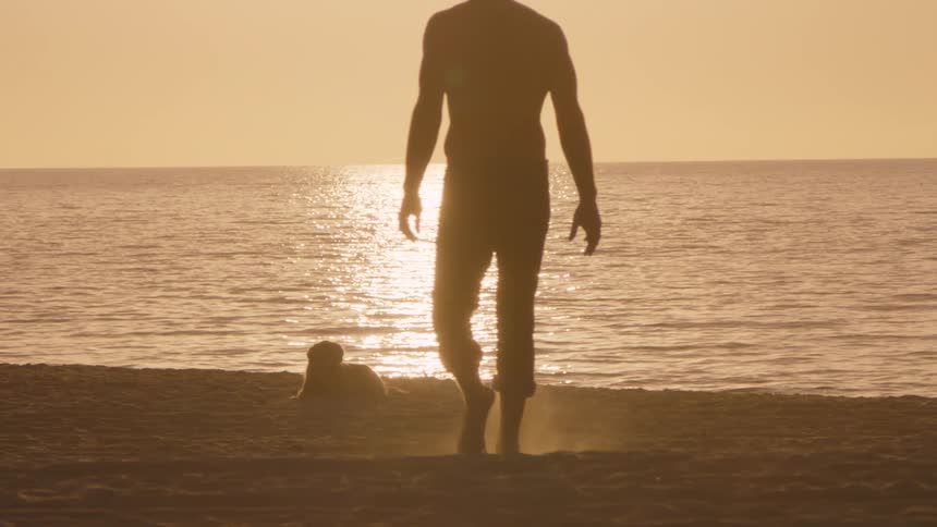 Silhouette of person walking on beach at sunset with golden reflections on water and figures in distance