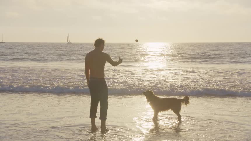 A man stands in the shallow surf at sunset tossing a ball for his golden retriever to catch the dog leaps into the air as waves gently roll in with a sailboat visible on the horizon under the golden sky