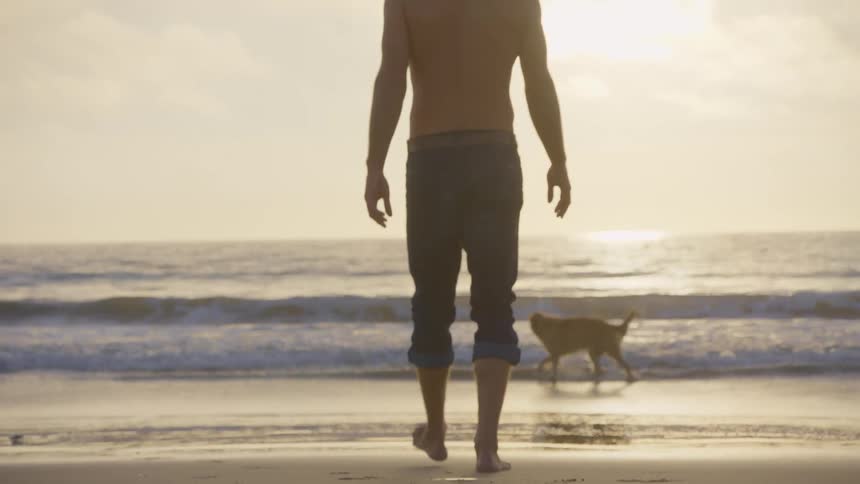 A man walks toward the ocean with his dog on a beach at sunset