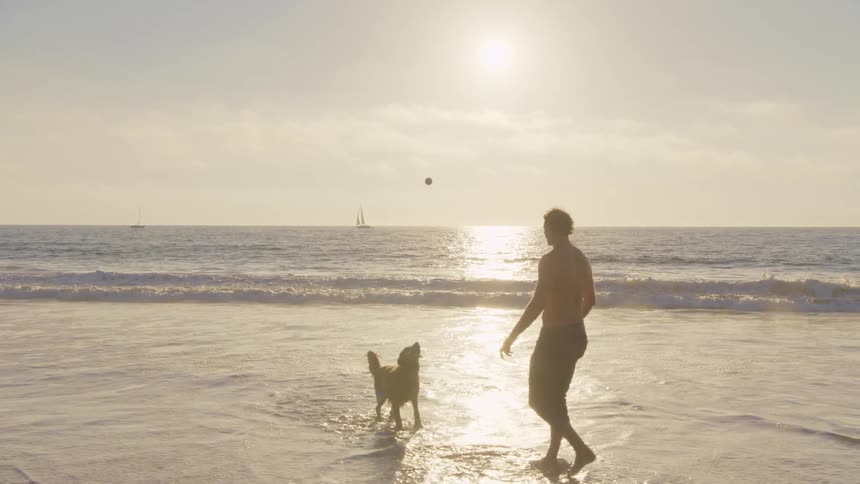 The man throws the ball to his dog on the beach