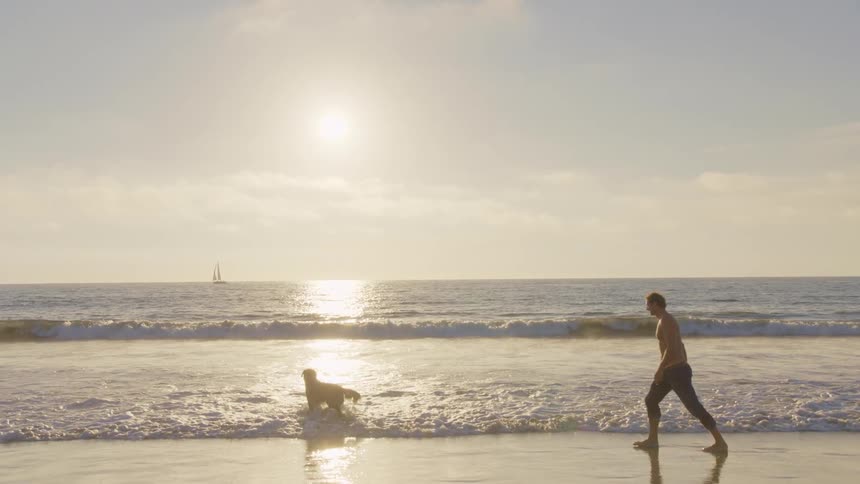 Man throws a ball as a dog runs along the shoreline under evening light