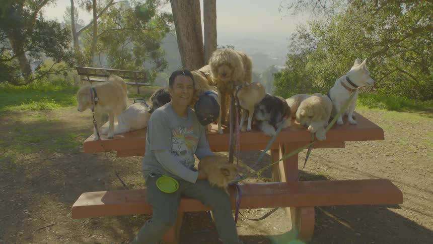 Man surrounded by dogs sitting on bench in wooded area