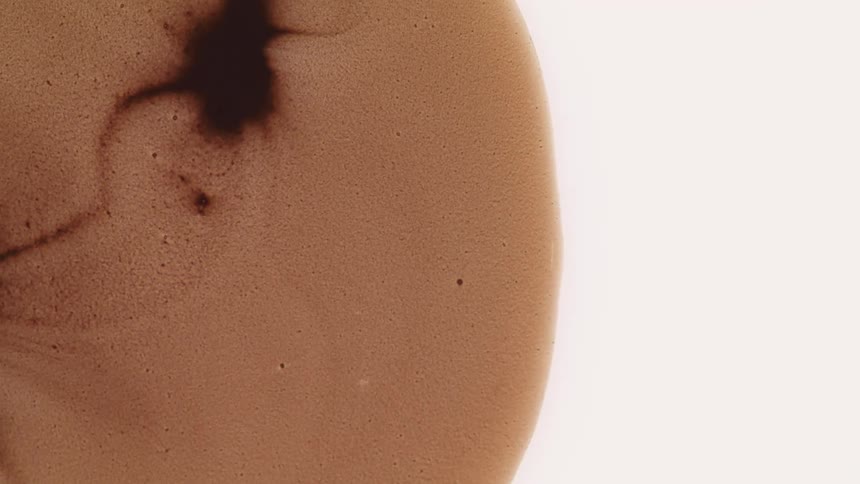 A thick brown liquid drop expands across a bright white surface in a macro view showing internal swirling patterns and tiny bubbles as the fluid moves outward to cover the frame