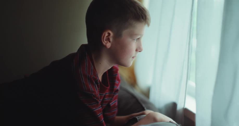 A young boy leans on the back of a sofa and gazes thoughtfully out of a window through sheer curtains