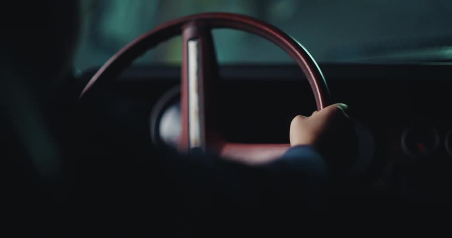 The person gets in the car and grabs the steering wheel