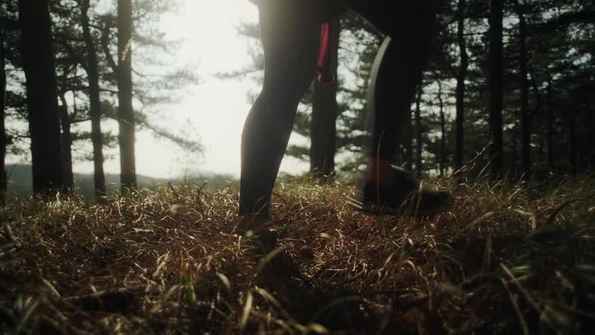 Woman walks on dry grass into the forest