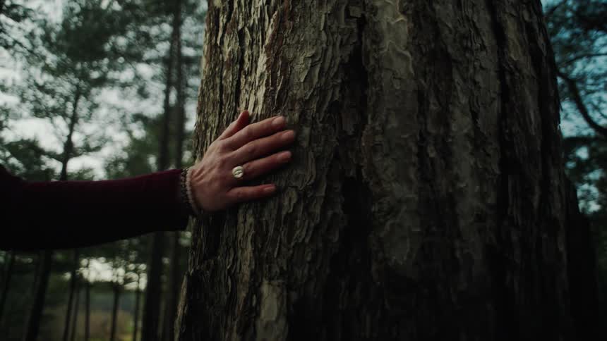 Woman puts her hand on a tree trunk as she walks by the edge of the forest