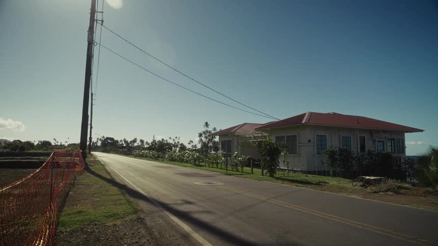 House near the road in a rural neighborhood as plants move in the wind
