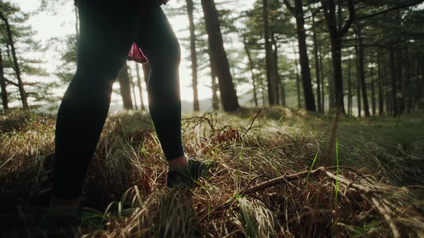 Person wearing black pants walking through a forest