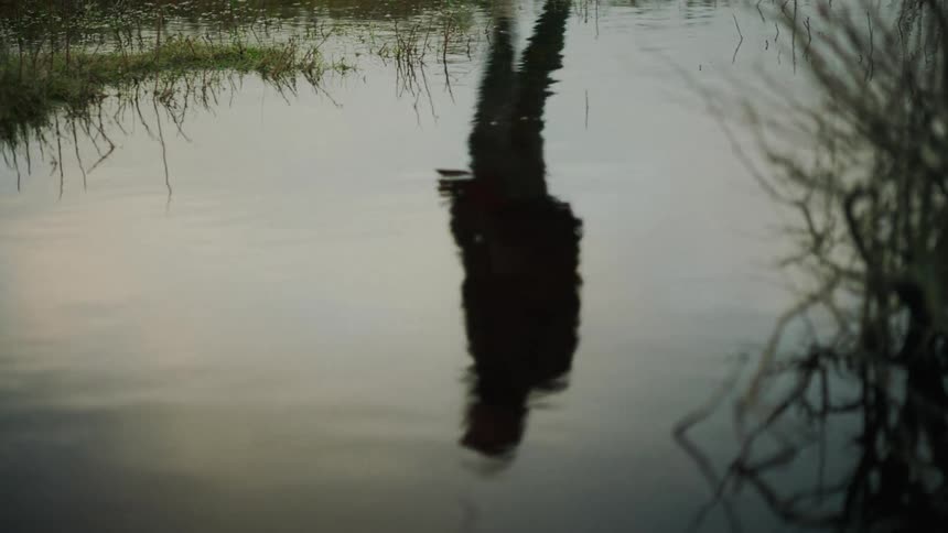 A reflection of someone walking along a river