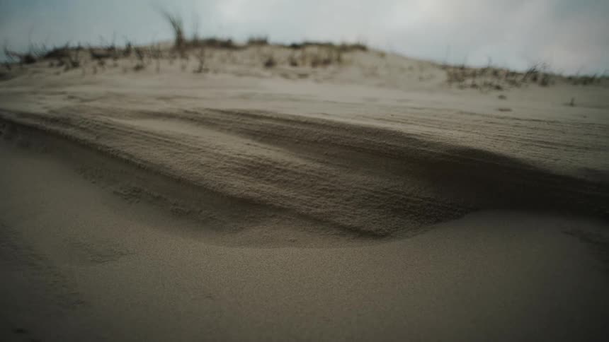 Intricate wind sculpted layers define the face of a large sand dune