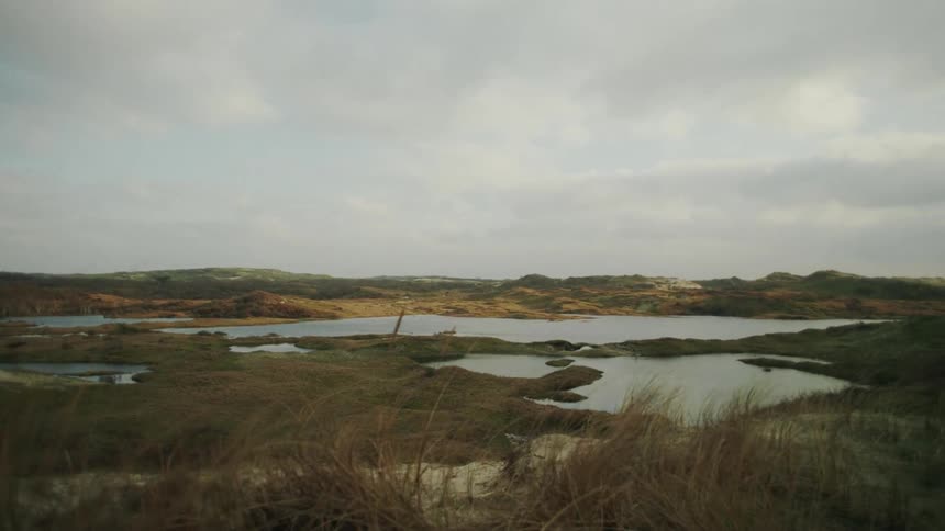 A view of a lake grassland area
