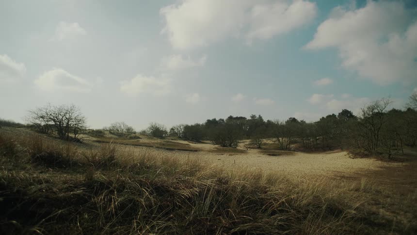 A view of a grassy area outdoors