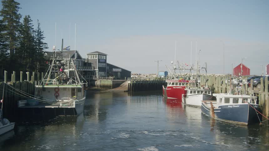 Fishing boats rest along a calm harbor channel beside wooden docks and small buildings under a clear blue sky
