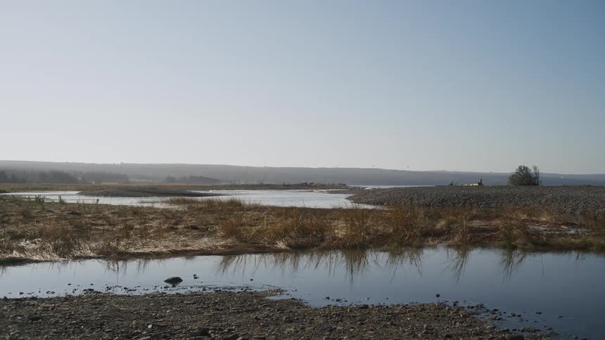Landscape of an area covered with low level water and vegetation at daytime