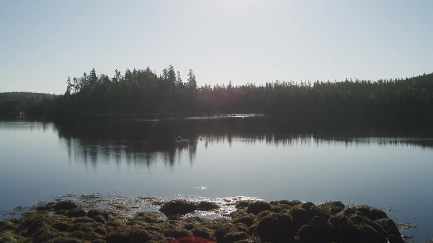 The shoreline in the foreground creates a dark textured line of seaweedcovered rocks that stretches across the bottom of the frame