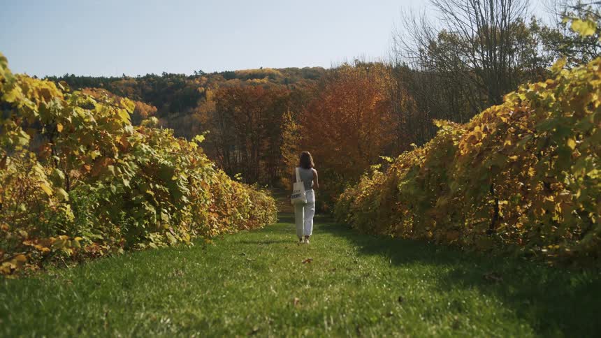 Young adult woman carrying a handbag walking on a path surrounded by vegetation with trees and a hill on the background outdoors during day time
