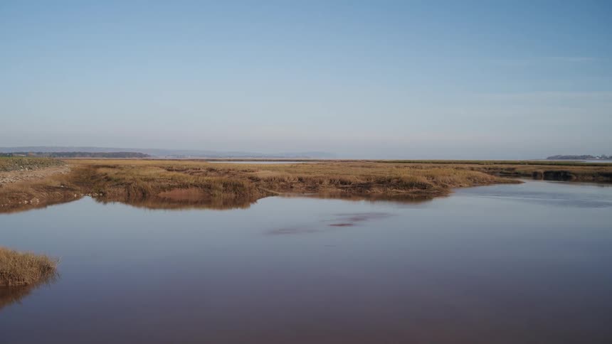 An aerial view of a lake with grass on the edges of it