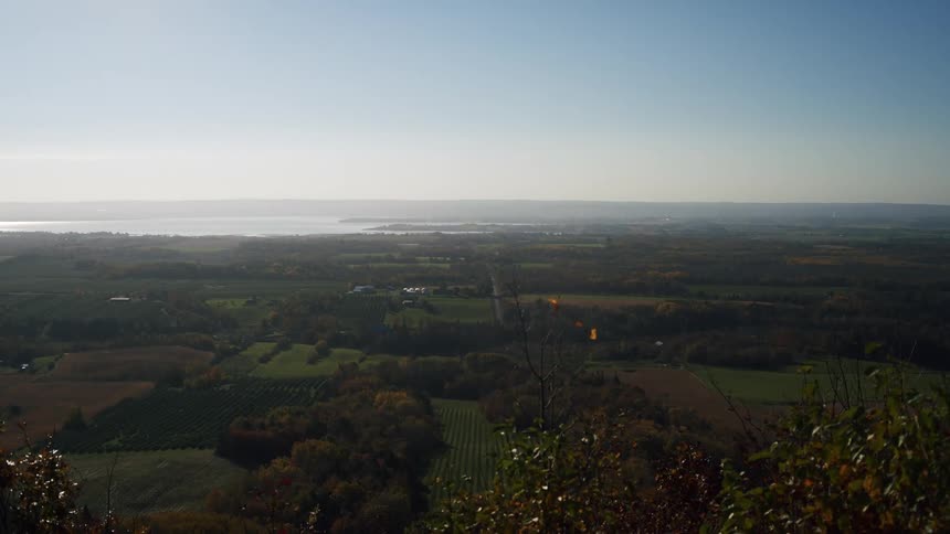 Green field covered in vegetation next to the coast with the ocean on the background outdoors during day time
