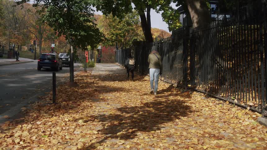 Woman walking on a sidewalk covered in dry leaves in the city