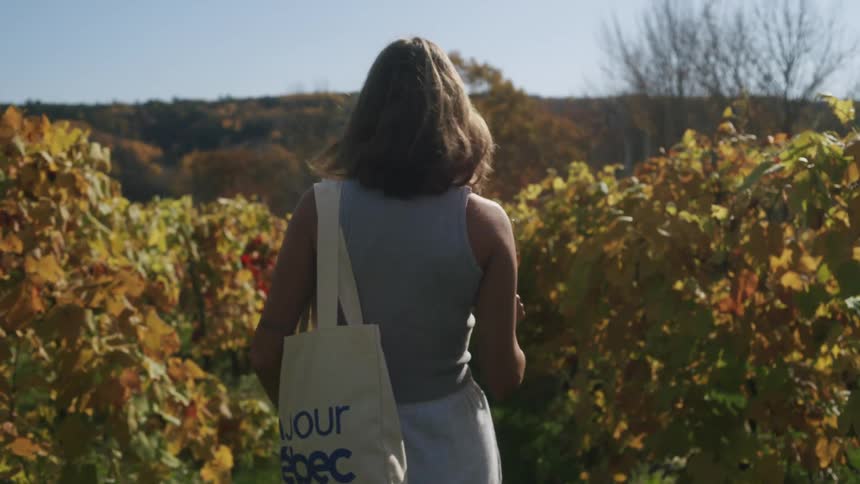 Woman with a glass of white wine walking through a vineyard