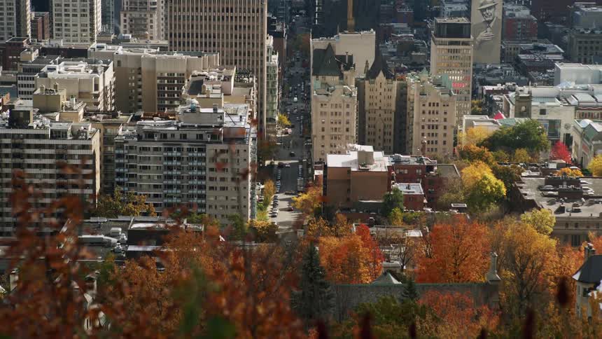 A clear midday view of the montreal skyline as seen from mount royal in autumn the citys towers rising above a patchwork of orange yellow and red foliage