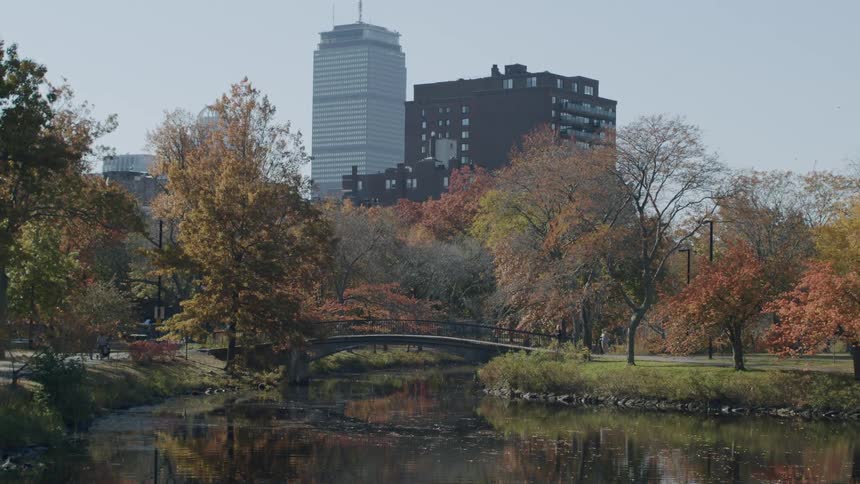 Lake in a park with trees and a metropolis with a skyscraper in the background