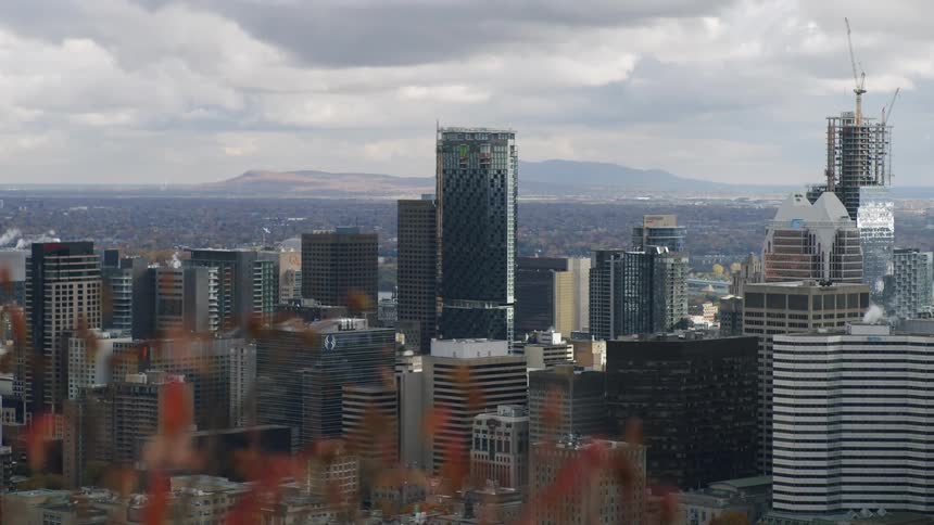 The metropolis is full of tall buildings