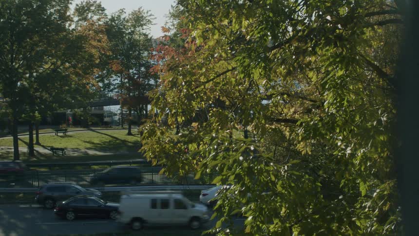 Through a sundappled tree cars and trucks drive along a highway that runs alongside a quiet park on a bright afternoon