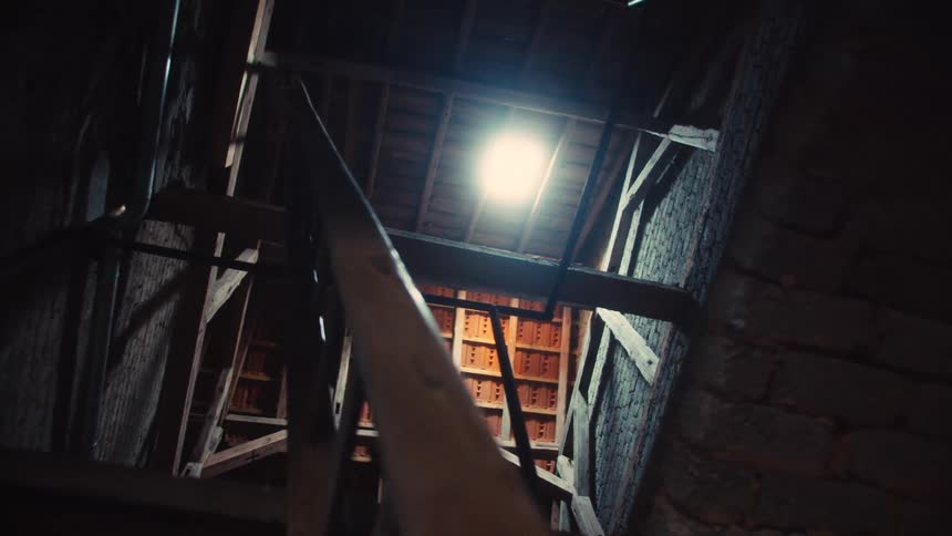 Wooden staircase connecting different levels of a house indoors