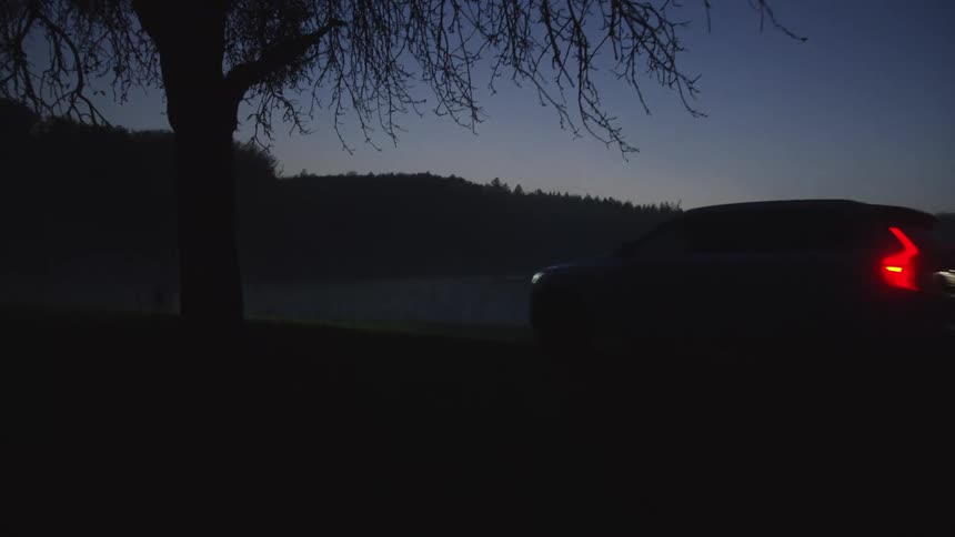 The car drives on the grass past the tree