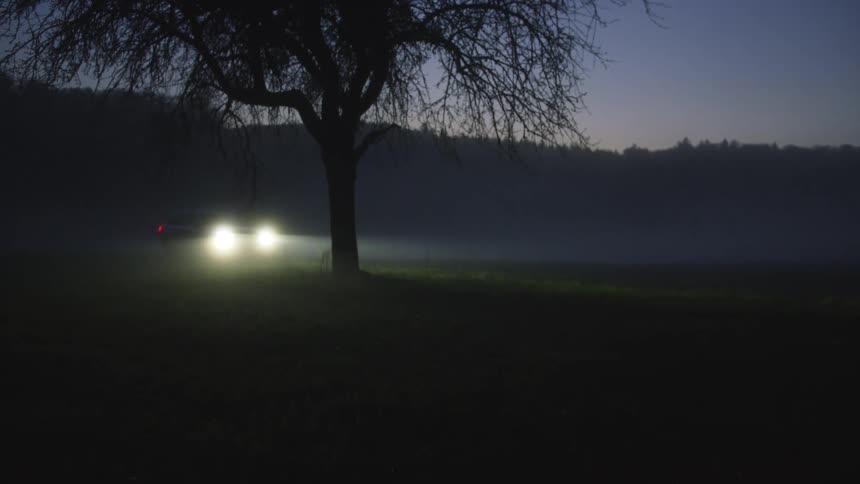 A dark car with glowing headlights drives through a foggy field at dusk it passes behind a large leafless tree before exiting the frame to the right