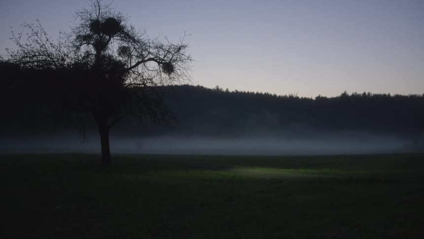 Fog hangs over a rural road near the woods