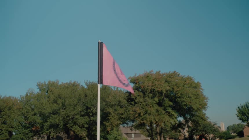 A white vertical line that extends from the bottom of the frame toward the sky serving as the support for the flag
