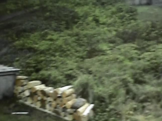 A father tosses a ball to his older son then runs into the brush to retrieve it after its hit over a woodpile