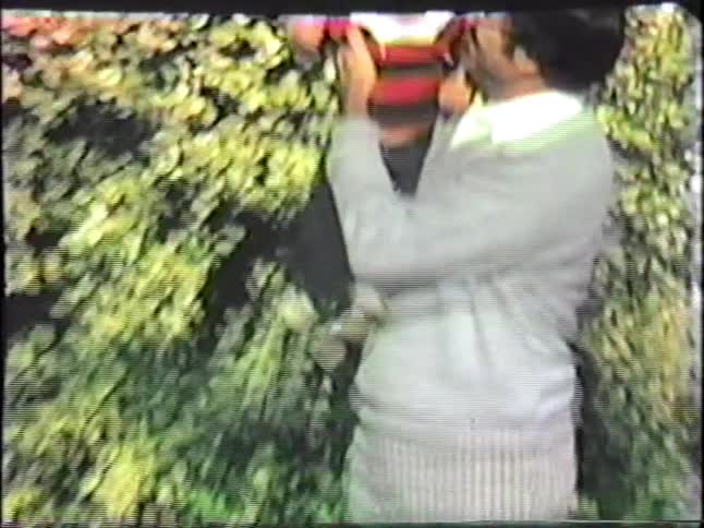 Adult woman throwing a toddler boy at an adul man who catches him and tries to cheer him as he got nervous on a law outdoors during day time
