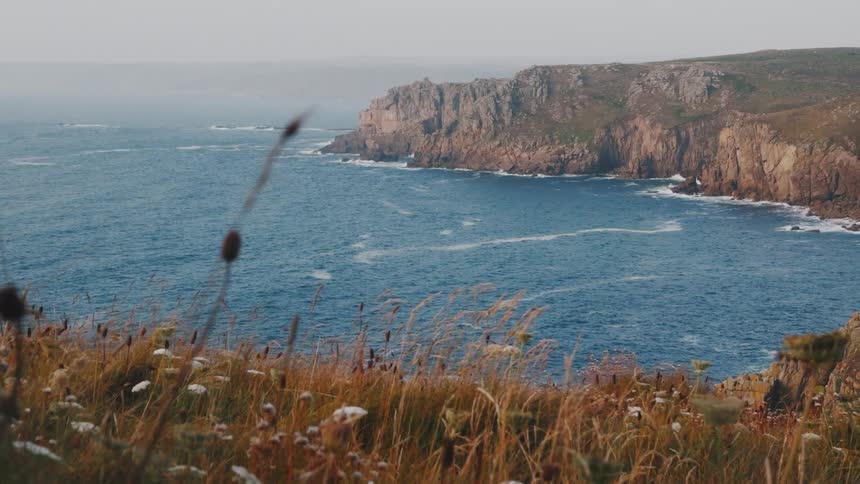 Coastal cliffs border the ocean with foreground vegetation