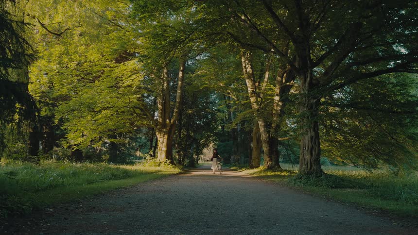 Person walking along a dirt road beneath tall trees in a wooded area