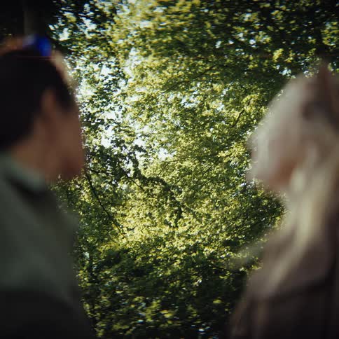Lowangle shot of two people from behind as they look up toward a canopy of vibrant green trees the sunlight filters through the leaves creating a bright natural glow that dominates the center of the frame between the two individuals