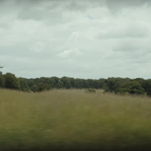 A view from a moving vehicle shows a vast open field of tall green grass under a cloudy grey sky with a single windswept tree appearing as the camera passes by