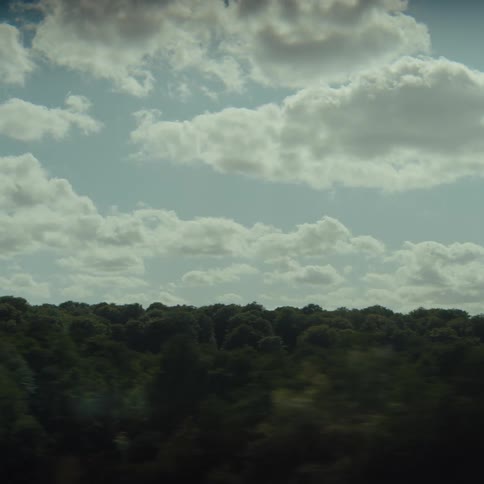 Vegetation and sky captured with motion blur during fast movement