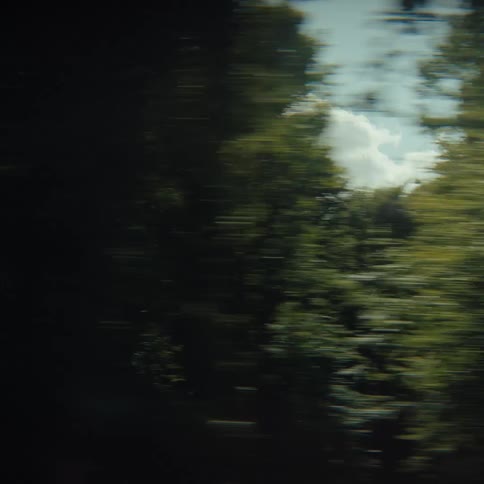 A view from a moving vehicle shows dark blurred trees passing by before transitioning to a bright sunlit sky with scattered white clouds and the tops of green trees