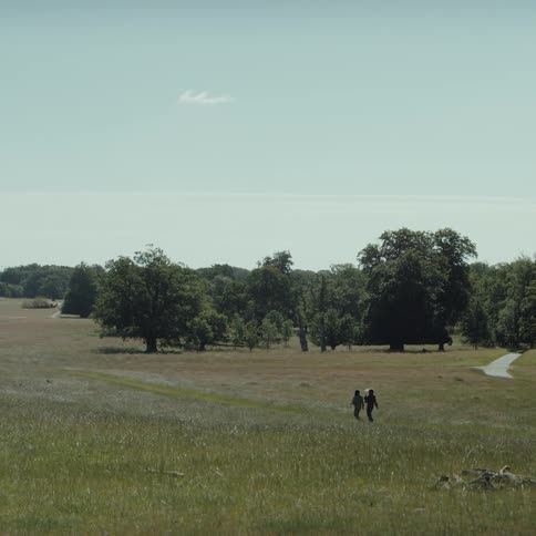 In this wide landscape shot two people walk slowly away from the camera through a vast grassy field they follow a gentle path that leads toward a dense line of lush green trees under a clear pale blue sky
