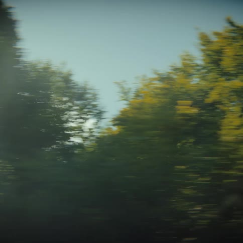 Dense vegetation blurred by motion indicating fast movement along a wooded area