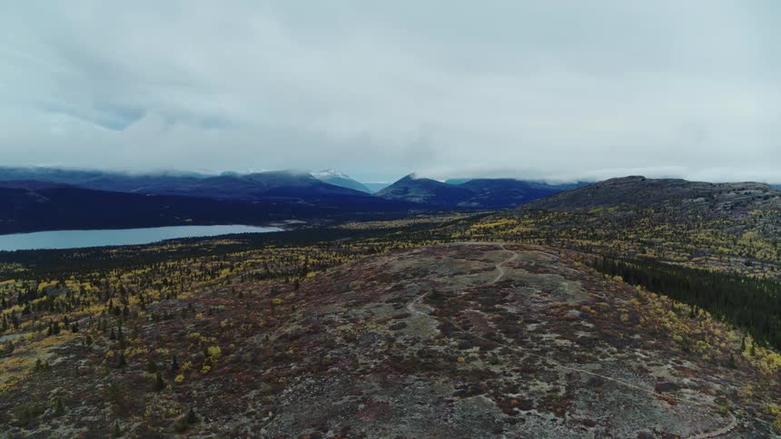 An aerial view of a vast forest area with mountains and a distant lake