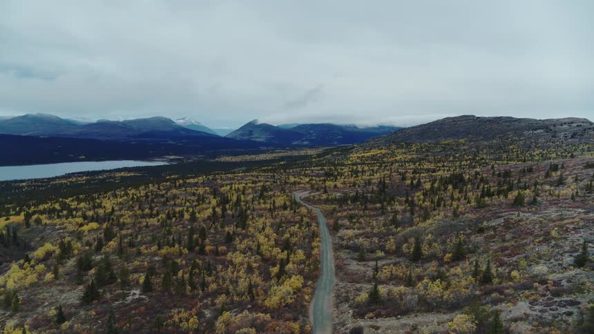 Flying over a large subarctic area with a road cutting through it