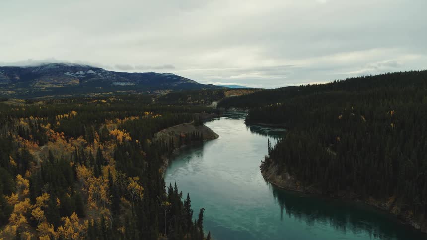 The Yukon River carves a path through dense forest in autumn