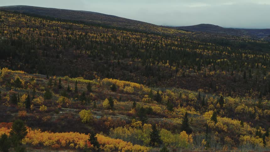 Trees with autumn colors on hills and mountains across the rolling landscape