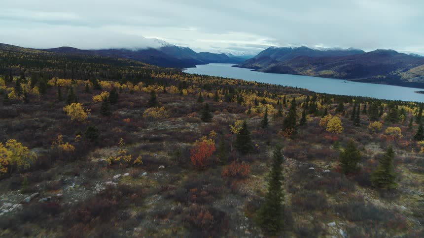 An aerial view of an autumn forest with a lake and mountains in the distance