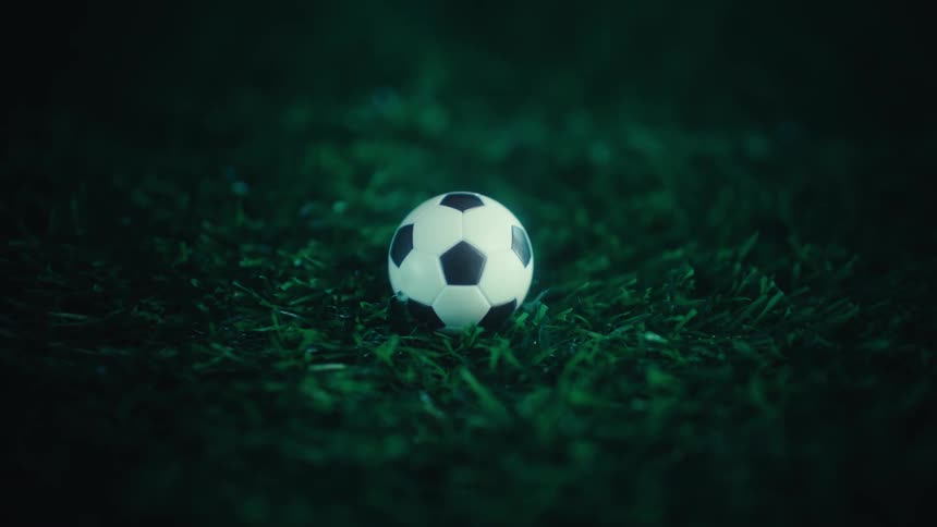 Small toy ball positioned on the grass